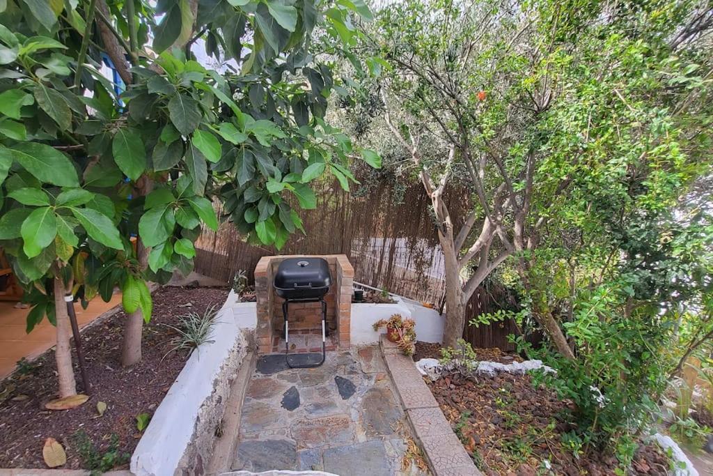 Casa Mimosa With Private Pool & Garden Villa Agaete  Buitenkant foto
